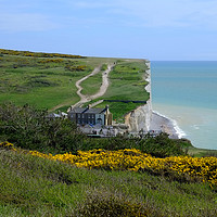 Buy canvas prints of Birling Gap and The Seven Sisters  by Diana Mower