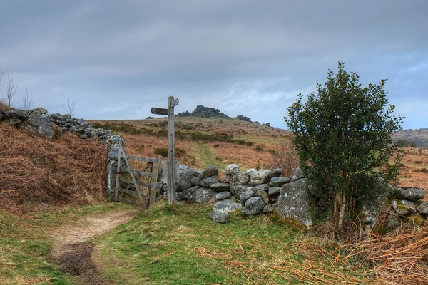 The Path to Hound Tor Picture Board by Diana Mower