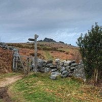 Buy canvas prints of The Path to Hound Tor by Diana Mower