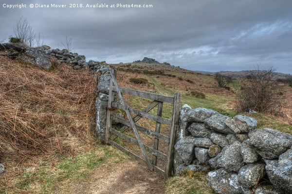  Path to Hound Tor Picture Board by Diana Mower
