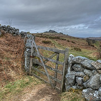 Buy canvas prints of  Path to Hound Tor by Diana Mower