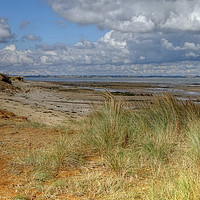 Buy canvas prints of The Naze beach by Diana Mower