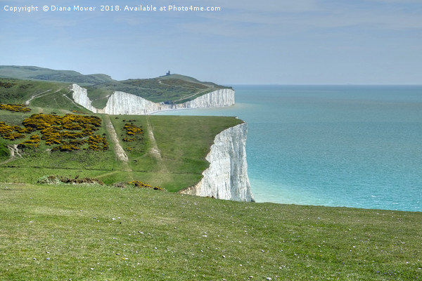 The Seven Sisters Cliffs Sussex. Picture Board by Diana Mower