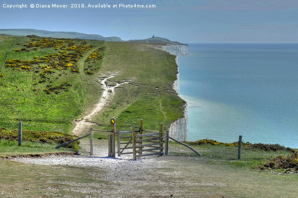 Walking the Seven Sisters Picture Board by Diana Mower