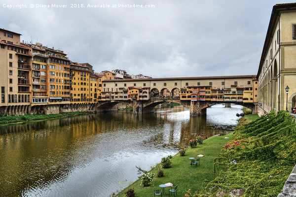 Ponte Vecchio over the river Arno Florence. Picture Board by Diana Mower