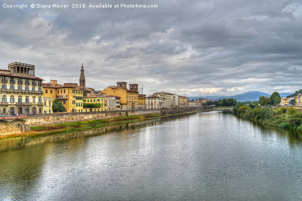 The river Arno Florence. Picture Board by Diana Mower