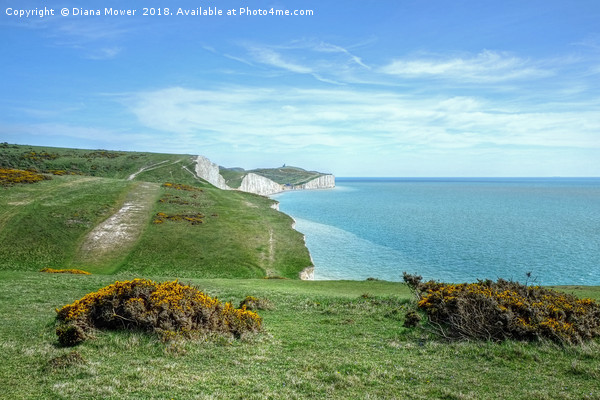 The Seven Sisters Footpath Picture Board by Diana Mower