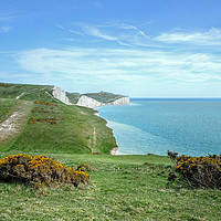 Buy canvas prints of The Seven Sisters Footpath by Diana Mower