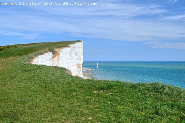 Beachy Head  Picture Board by Diana Mower