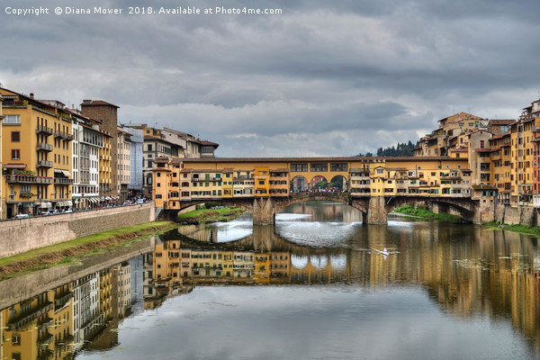 Ponte Vecchio Florence Picture Board by Diana Mower
