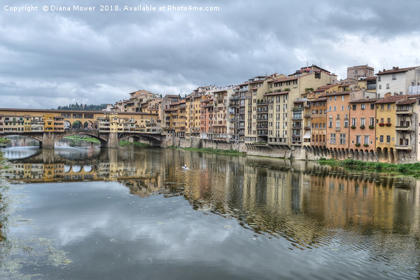 Ponte Vecchio and the river Arno Florence. Picture Board by Diana Mower