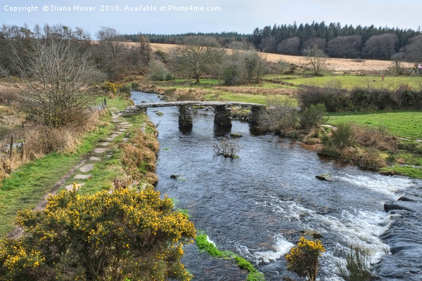 Medieval Clapper bridge Postbridge Picture Board by Diana Mower