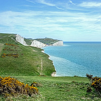 Buy canvas prints of The Seven Sisters chalk Cliffs  by Diana Mower