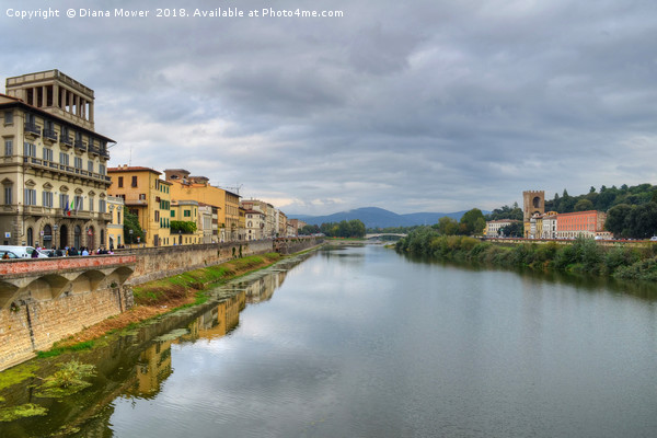The river Arno Italy Picture Board by Diana Mower