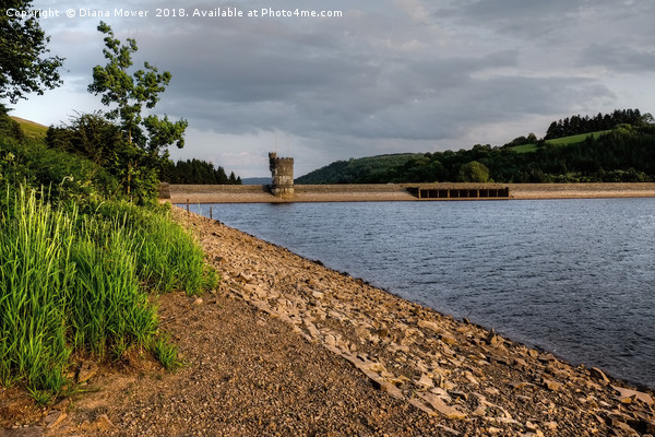 Early Evening, Llwyn-on Reservoir Picture Board by Diana Mower