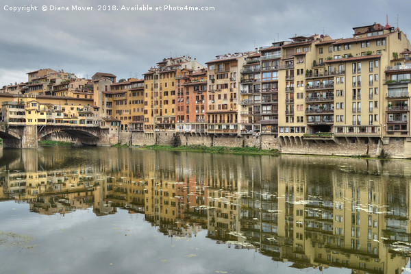 The river Arno Florence Picture Board by Diana Mower