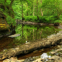 Buy canvas prints of River Pyrddin Wales by Diana Mower