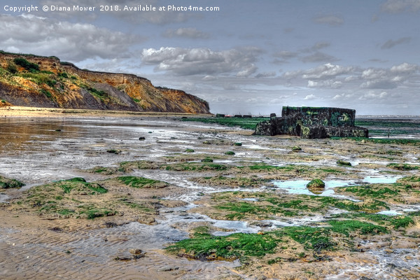 The Naze beach  Picture Board by Diana Mower