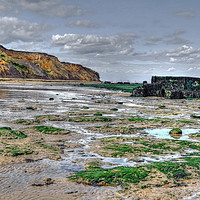 Buy canvas prints of The Naze beach  by Diana Mower