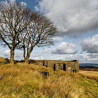 Buy canvas prints of Top Withens Yorkshire by Diana Mower