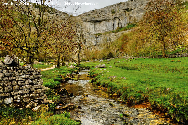 Malham Cove and Malham Beck Picture Board by Diana Mower