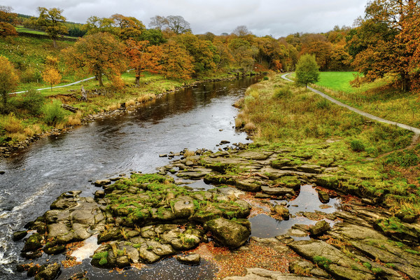 The River Wharfe Picture Board by Diana Mower
