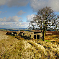 Buy canvas prints of  Top Withens in Bronte country by Diana Mower