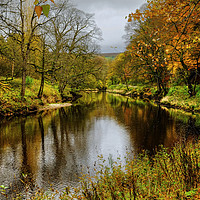 Buy canvas prints of  Autumnal  River Wharfe  by Diana Mower
