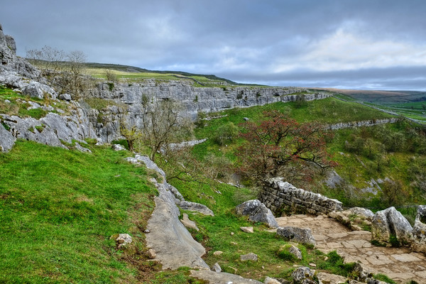 Malham Cove Steps Picture Board by Diana Mower