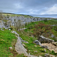 Buy canvas prints of Malham Cove Steps by Diana Mower