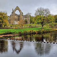 Buy canvas prints of Bolton Priory Ruins by Diana Mower