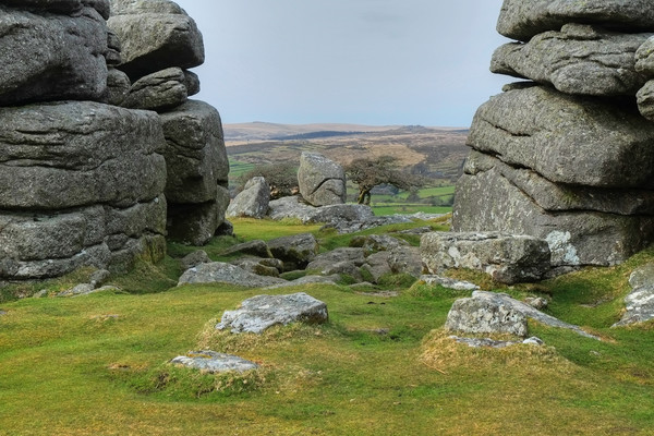 Combestone Tor Picture Board by Diana Mower