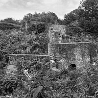 Buy canvas prints of Darkhill Iron Works by Diana Mower