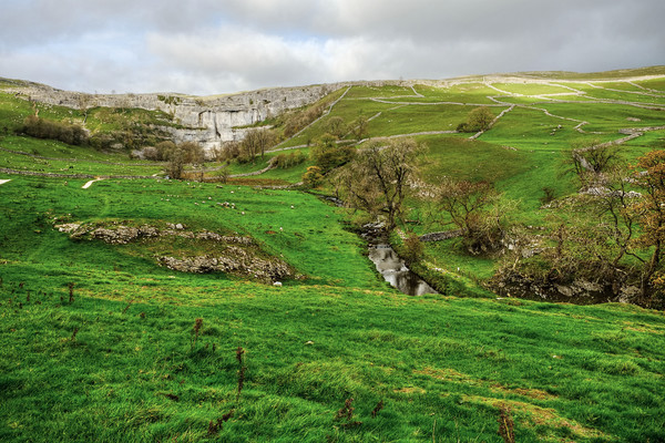 Malham Cove and Hills Picture Board by Diana Mower