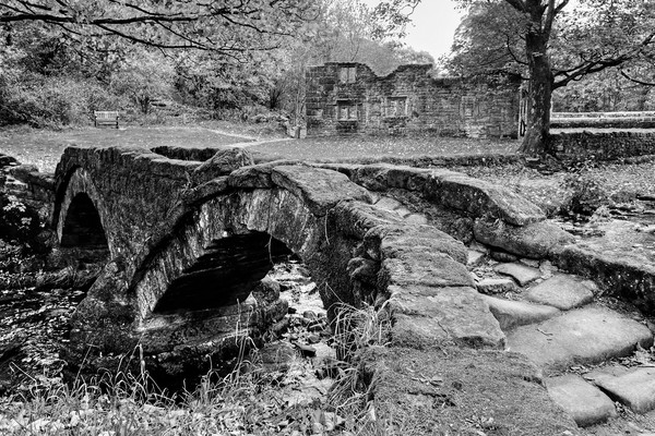 Wycoller Packhorse Bridge Picture Board by Diana Mower