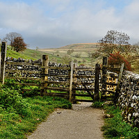 Buy canvas prints of Malham Fields by Diana Mower