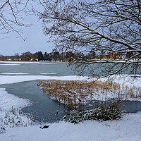 Buy canvas prints of Gosfield Lake by Diana Mower