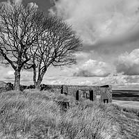 Buy canvas prints of Top Withens Haworth by Diana Mower