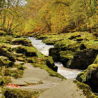 Buy canvas prints of The Strid  Wharfedale by Diana Mower