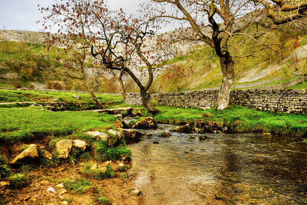 Malham Cove Yorkshire Dales Picture Board by Diana Mower