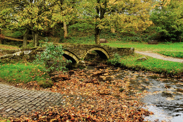 Wycoller Packhorse bridge over the Beck Picture Board by Diana Mower