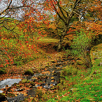 Buy canvas prints of The Bronte Way Wycoller by Diana Mower