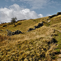 Buy canvas prints of Yorkshire Dales Pathway by Diana Mower