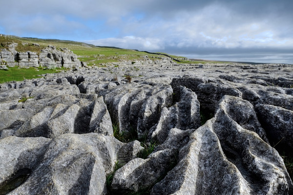 Limestone Pavement Malham Yorkshire Picture Board by Diana Mower