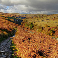 Buy canvas prints of  Yorkshire Dales  by Diana Mower