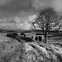 Buy canvas prints of Top Withens Yorkshire Dales by Diana Mower