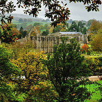 Buy canvas prints of Bolton Priory Ruins Yorkshire by Diana Mower