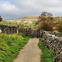 Buy canvas prints of  Malham Hills by Diana Mower