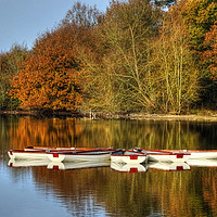 Buy canvas prints of Hatfield Forest Lake by Diana Mower