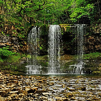Buy canvas prints of Sgwd yr Eira Waterfall Brecon Beacons by Diana Mower